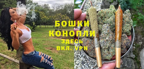 ECSTASY Волосово