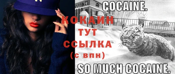 МДПВ Волоколамск