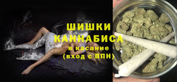 стаф Володарск