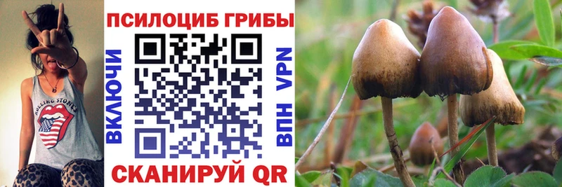 Псилоцибиновые грибы Magic Shrooms  Купить где  Олёкминск 
